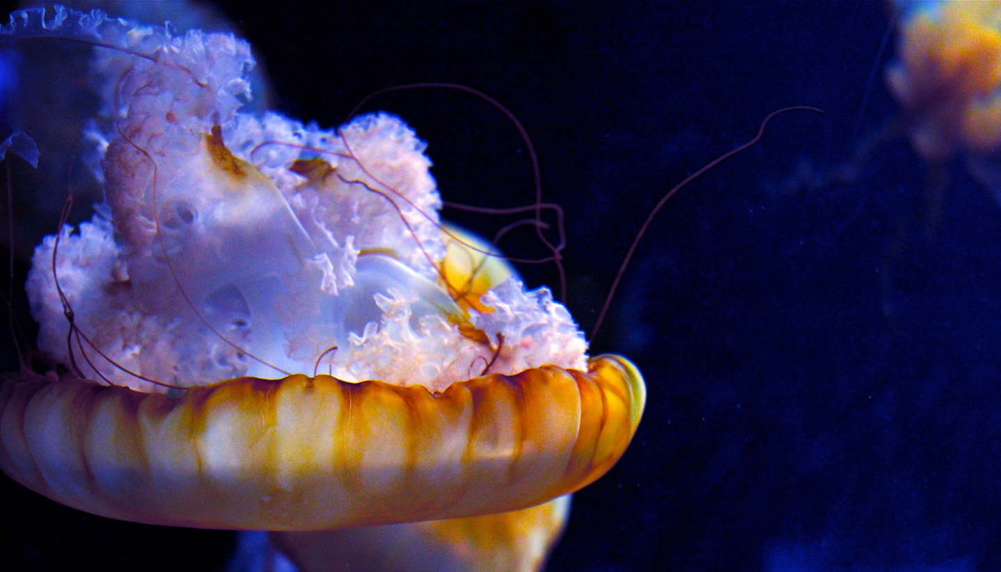 Unsplashed background img 2